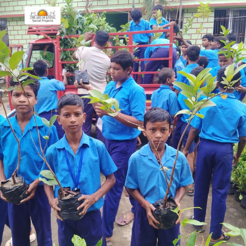 685-saplings-lesson-gratitude