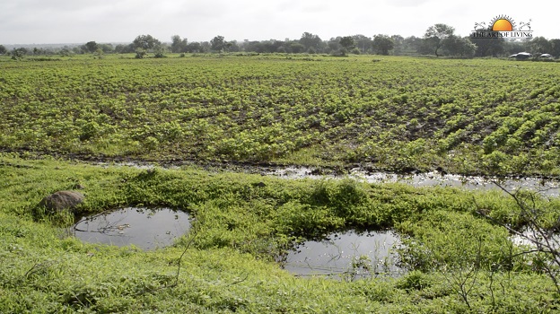 JalTara: Beginning of a New Era in Water Conservation